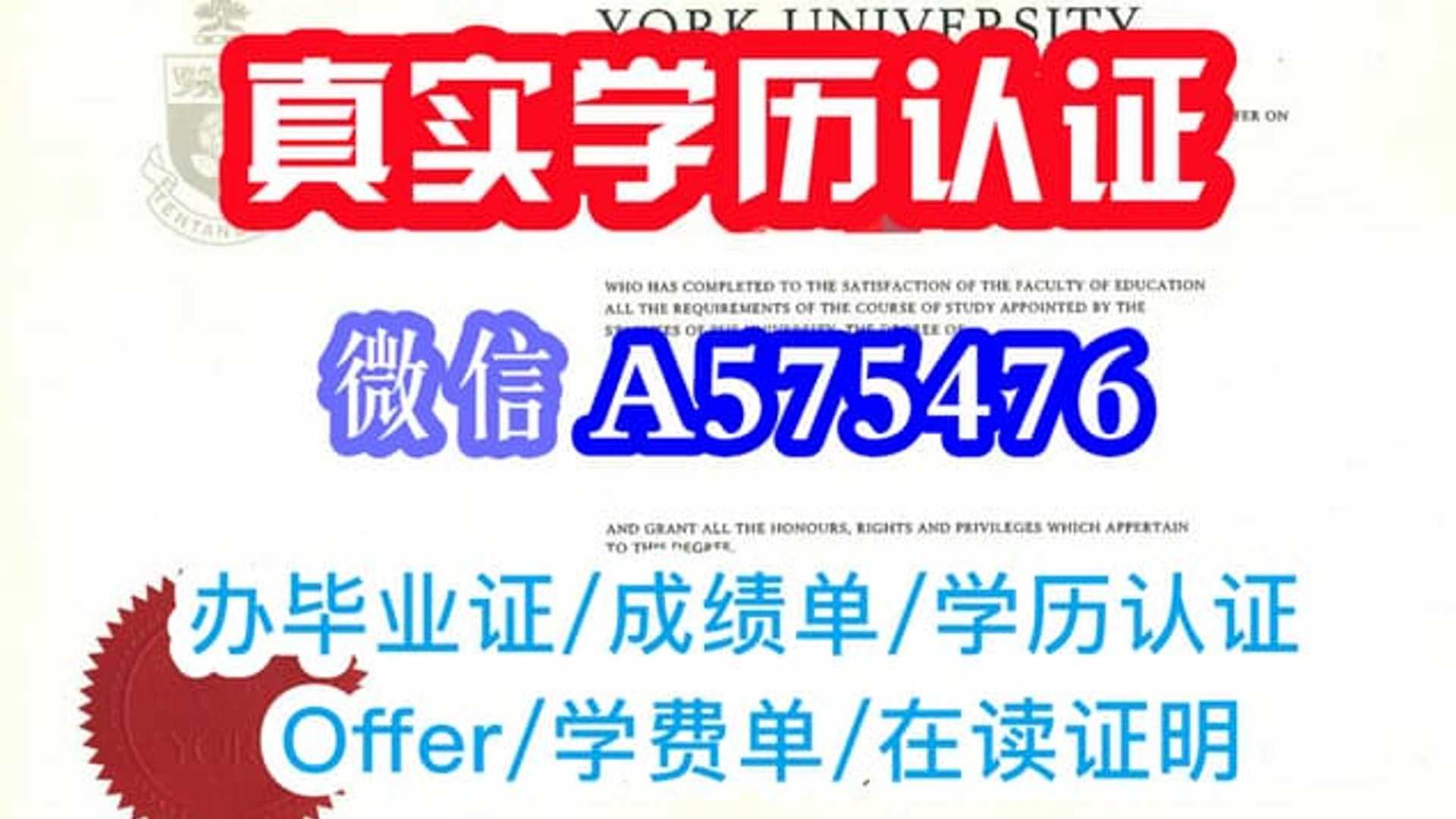 Unveiling the Importance of Academic Document Authentication