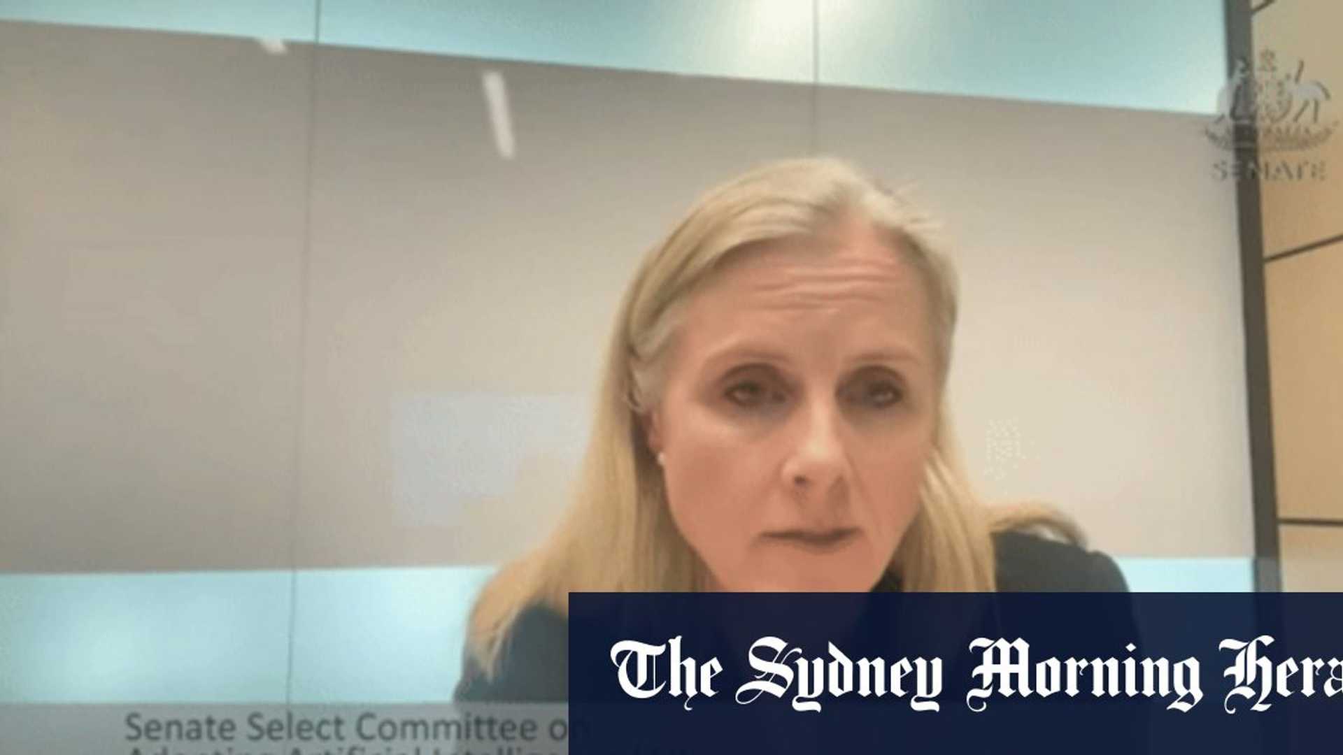 Senate Calls for Transparency in AI Chatbot Development