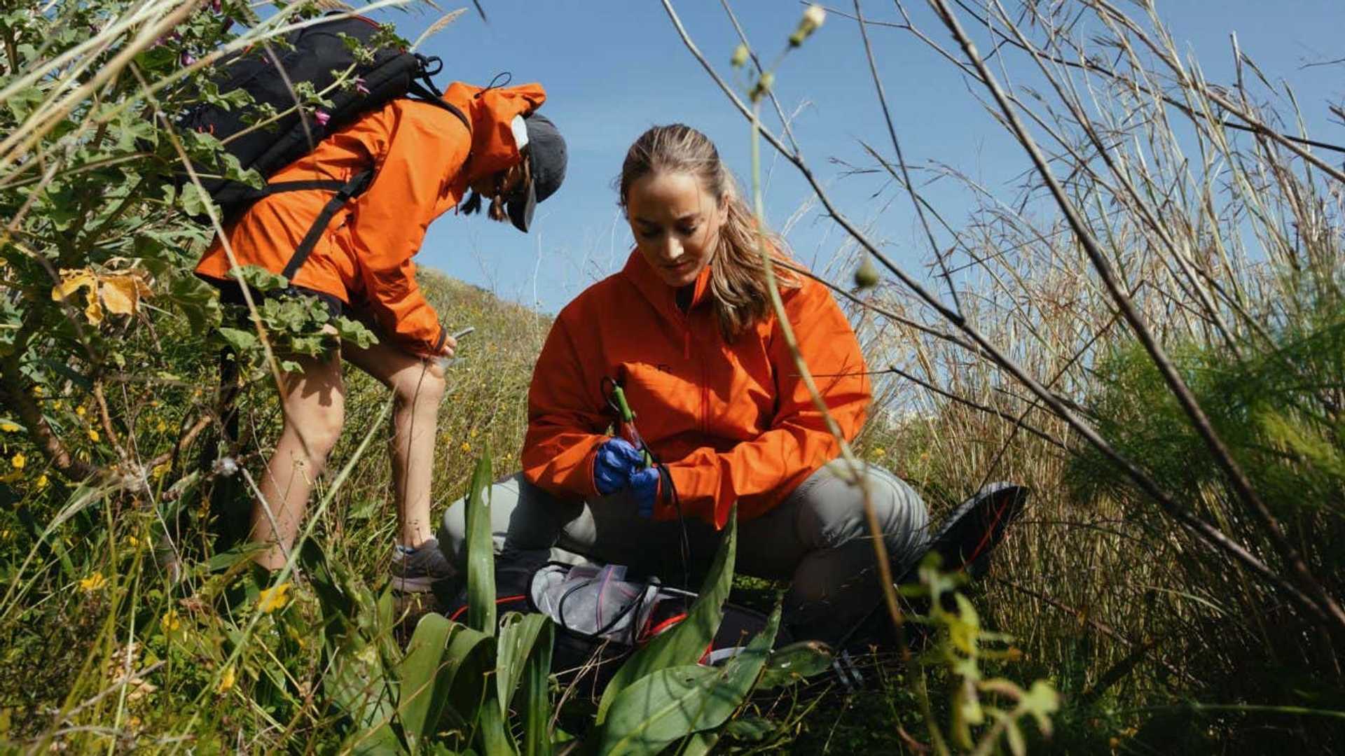 The Future of Biology: AI Insights from Basecamp's Genetic Collection