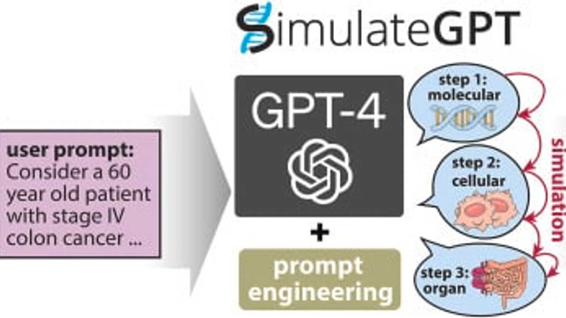 Unveiling the Power of GPT-4 in Biomedical Simulations