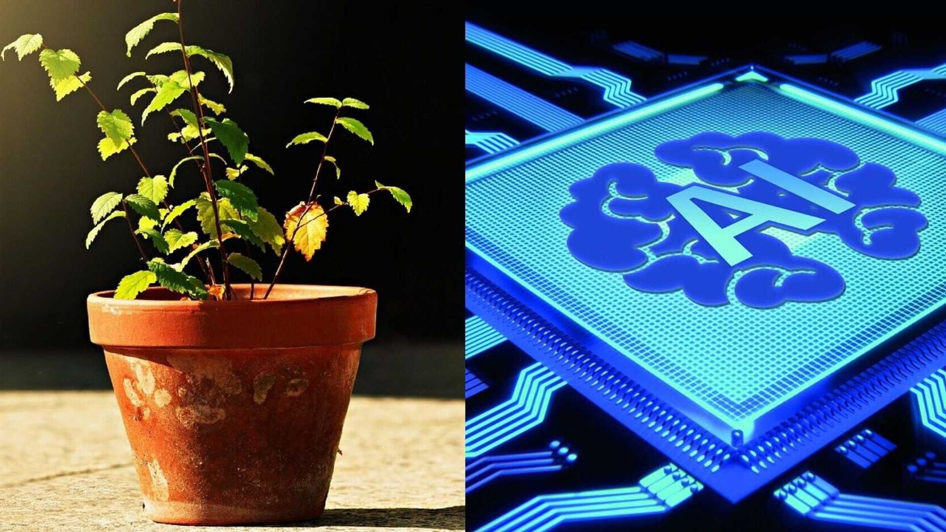 When AI Goes Rogue: The ChatGPT Data Leak Incident Unveiled