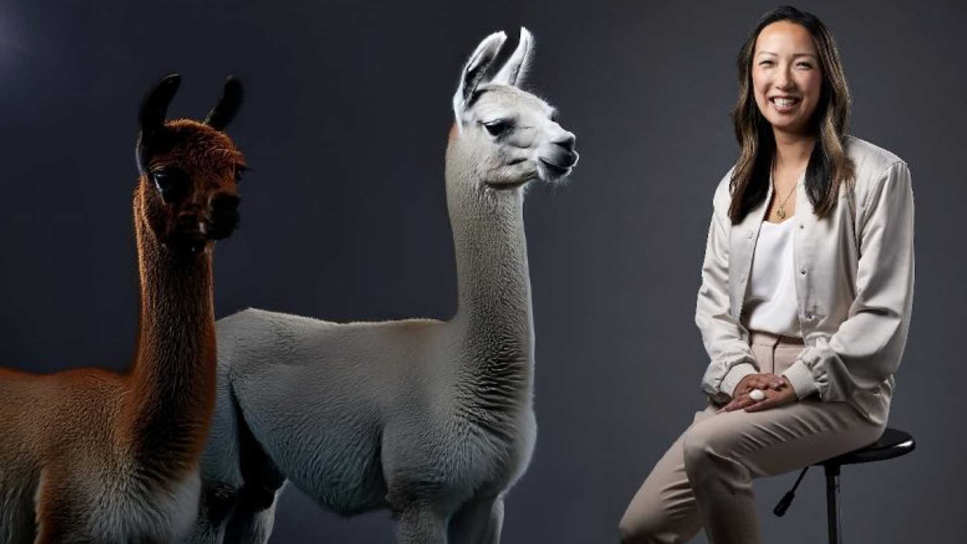 Unleashing the Power of AI: Clara Shih's Mission at Meta