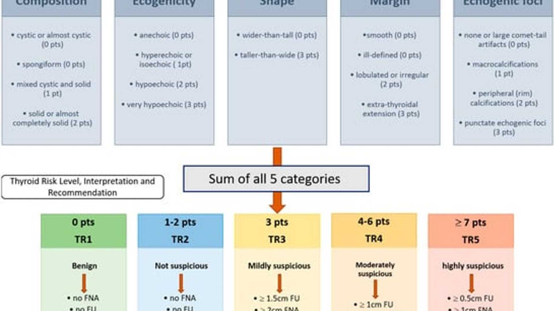 Thyroid Nodule Ultrasound Reports: Evaluating ChatGPT 4.0's Performance