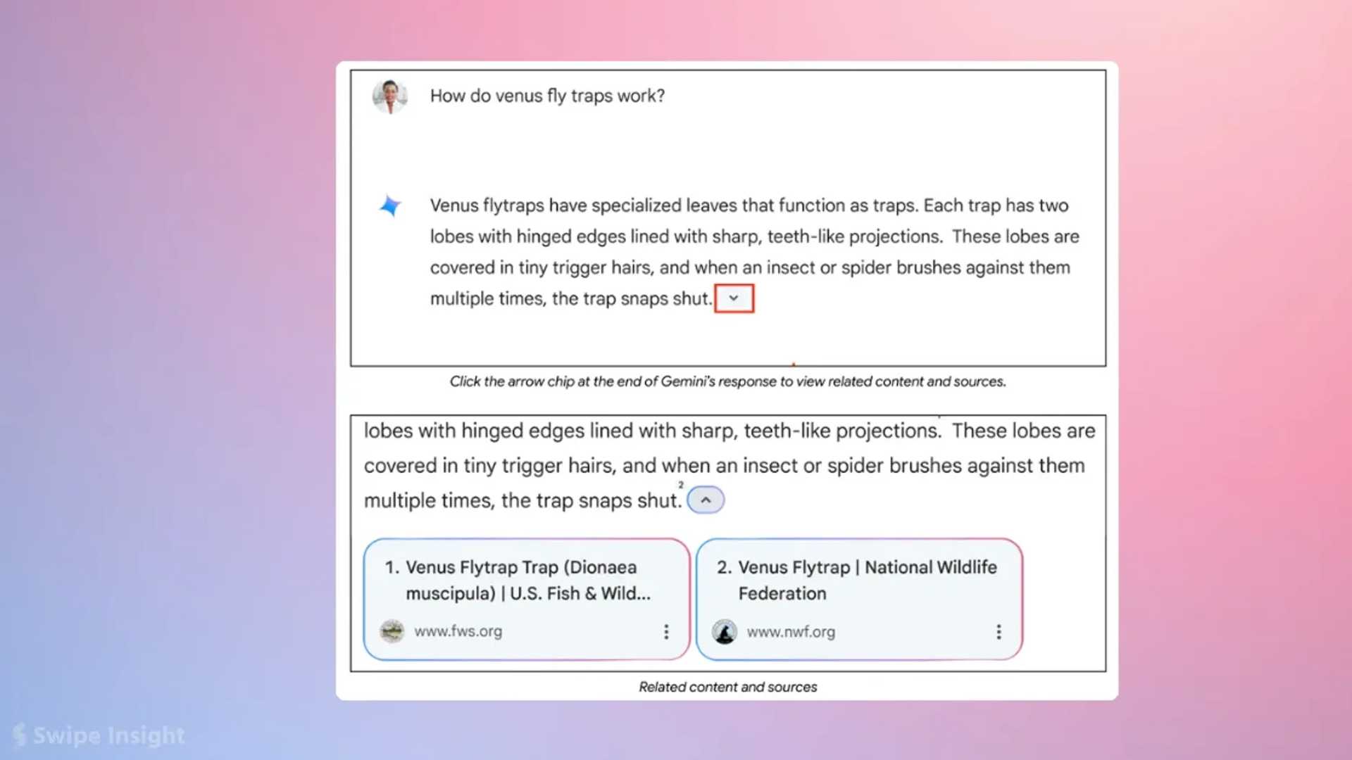 Enhance Your Search Experience with Gemini's New Feature