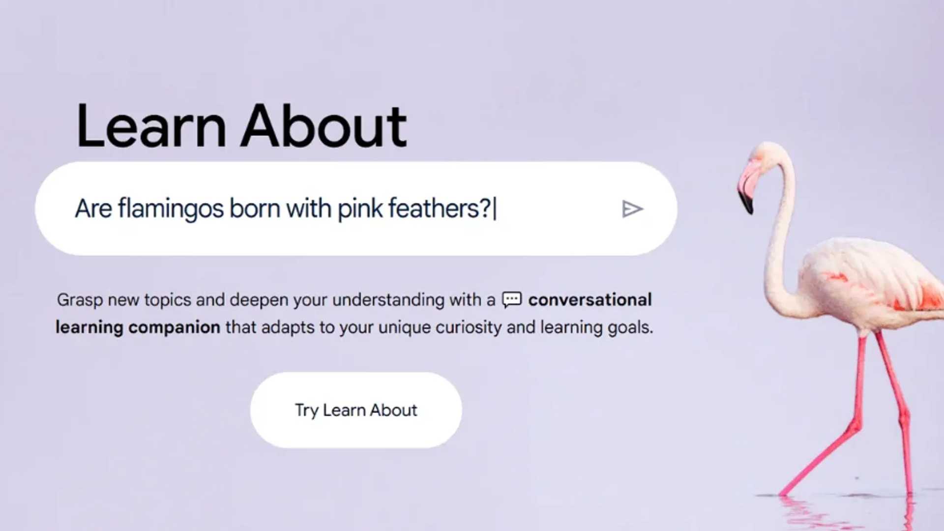 The Future of Learning: Google Introduces 'Learn About' AI