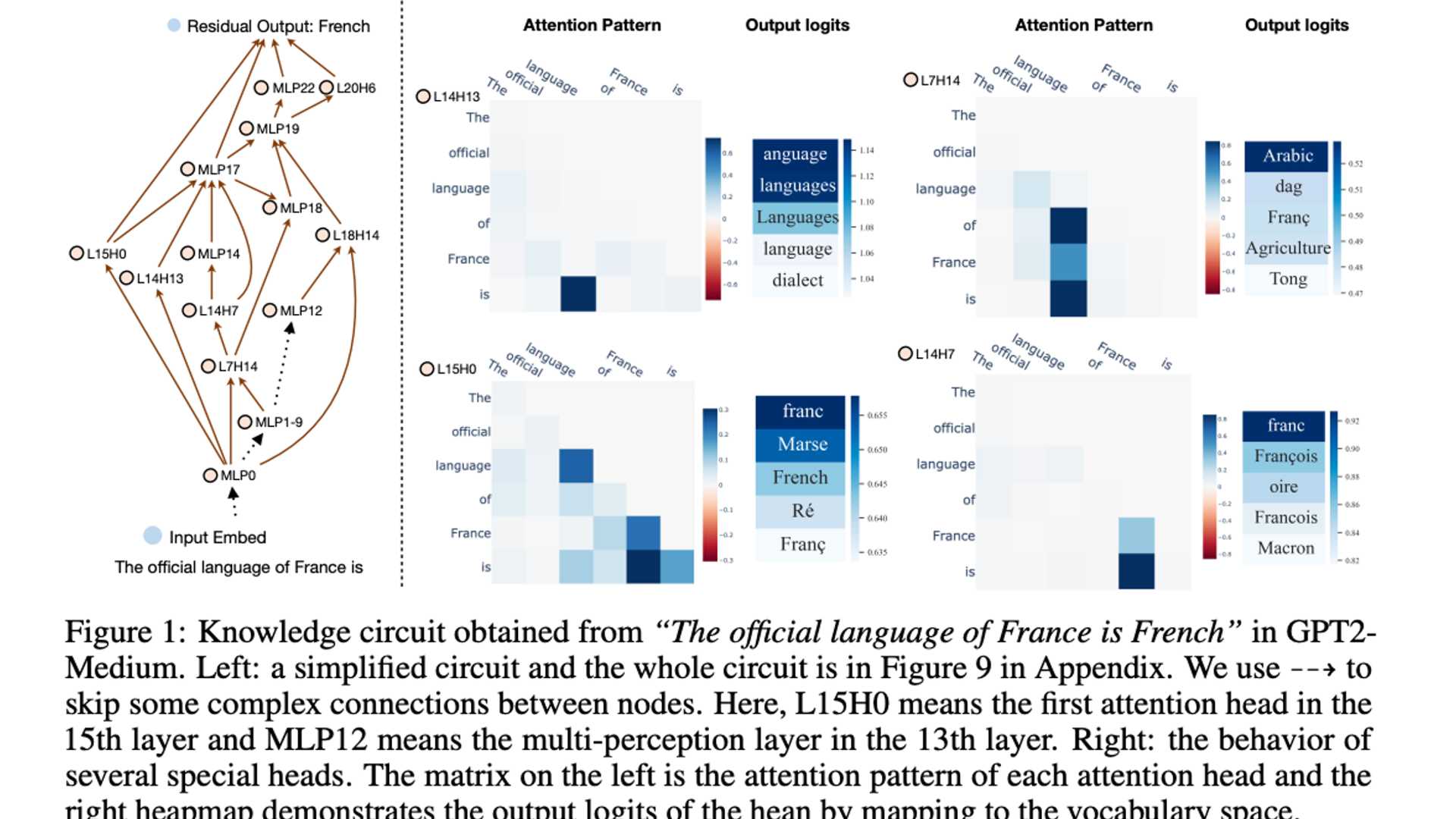 Decoding the Mystery: How LLMs Leverage Knowledge Circuits