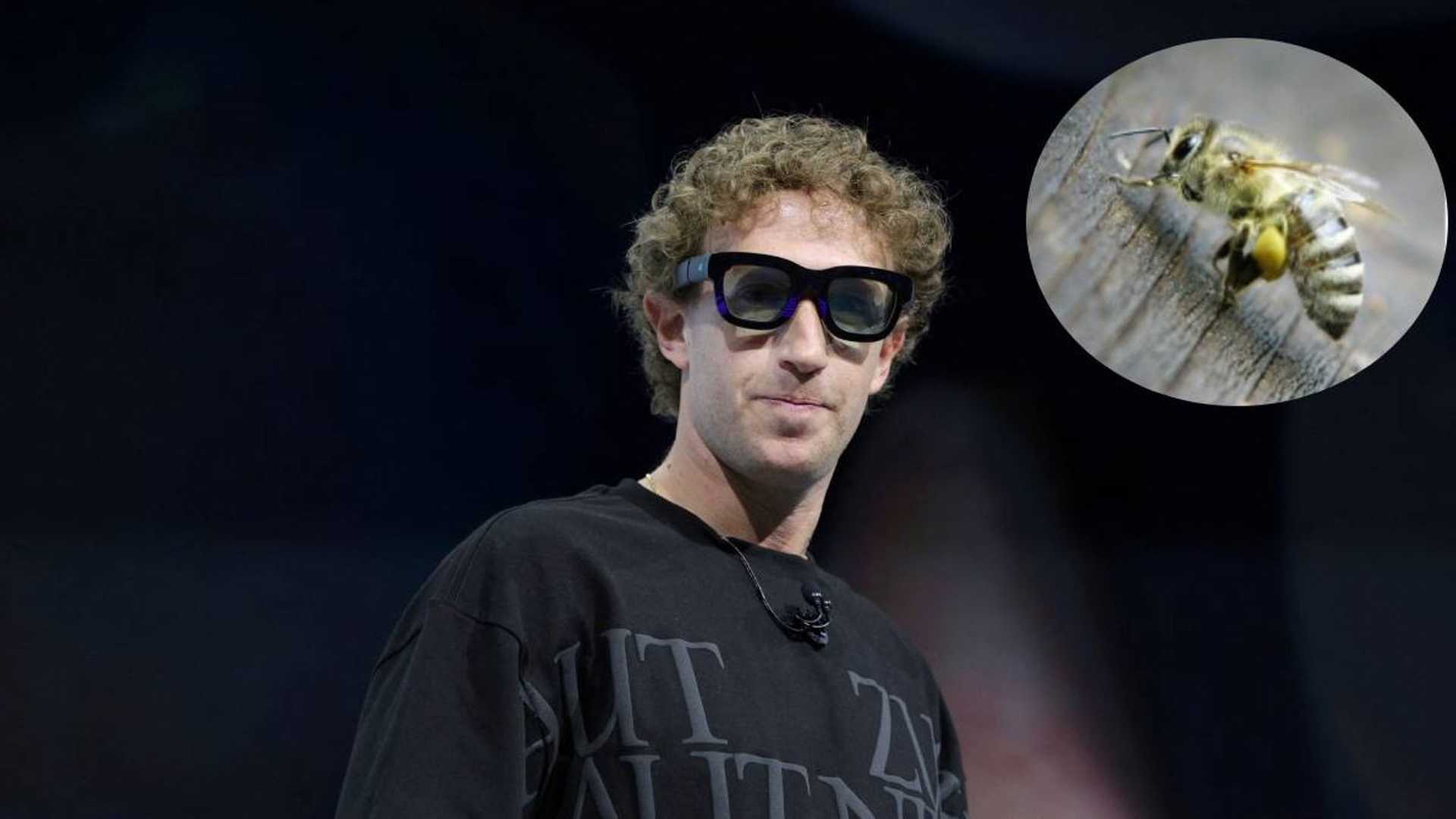 How bees caused delays in Meta CEO's AI project