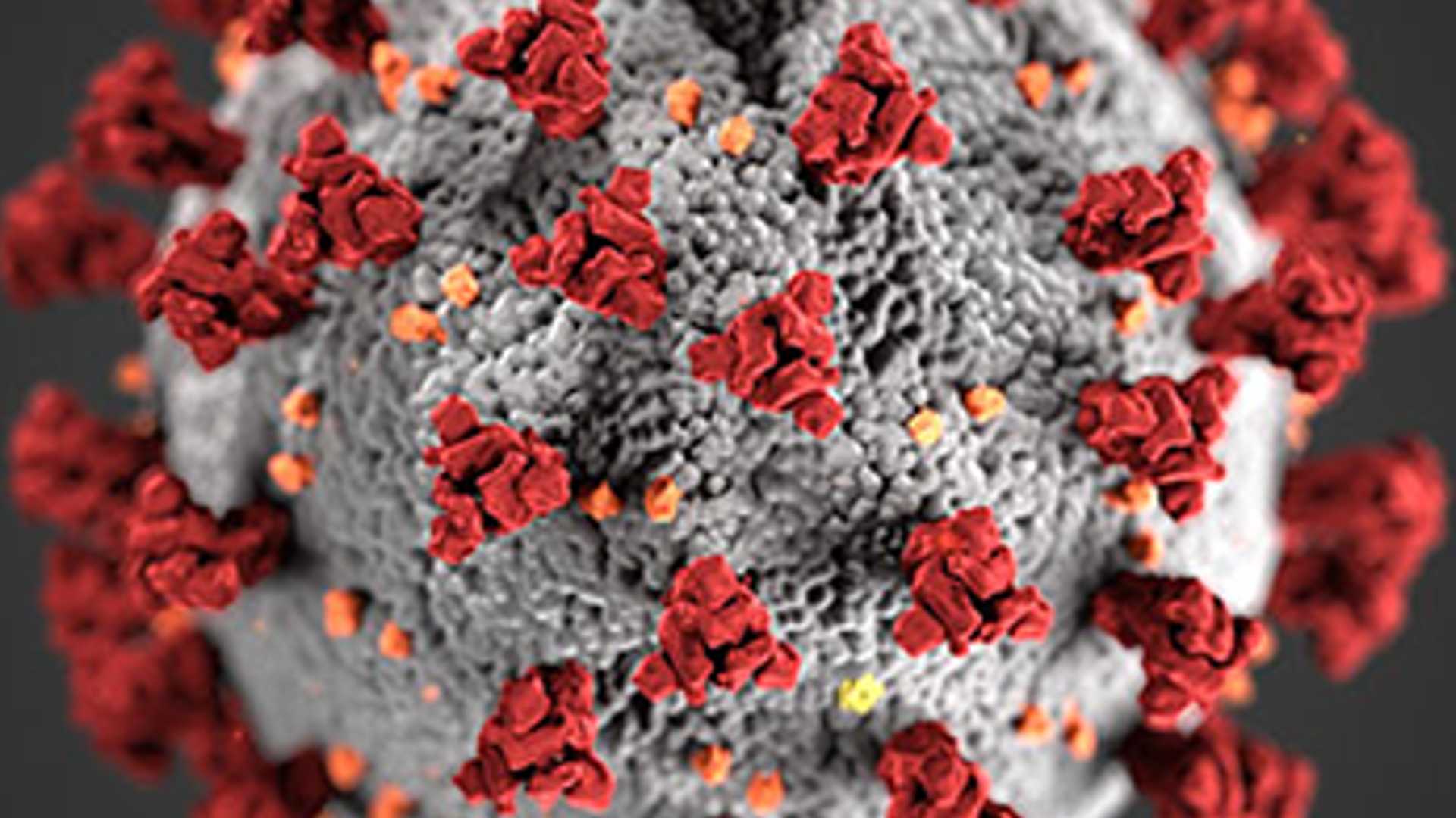 AI-Powered Virology: Revealing 70,500 Fresh RNA Viruses