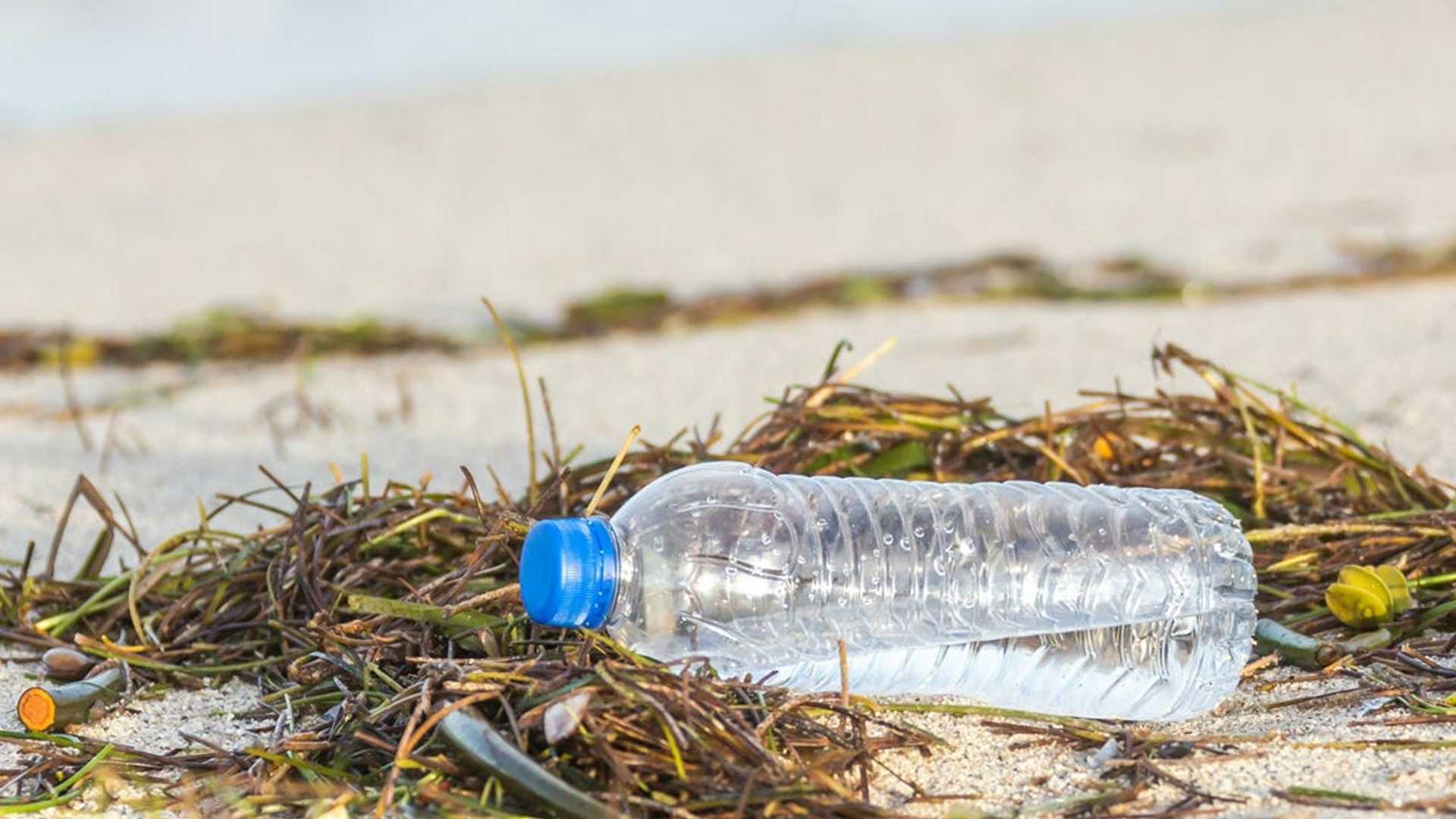 Revolutionizing Peptide Discovery: AI Framework Unveiled