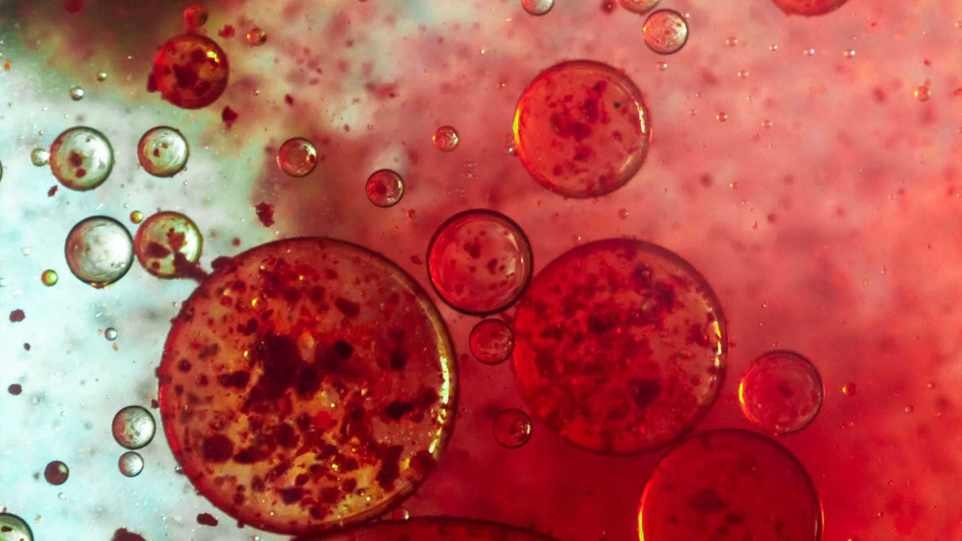 10 Mind-Blowing Discoveries Made by AI in Science