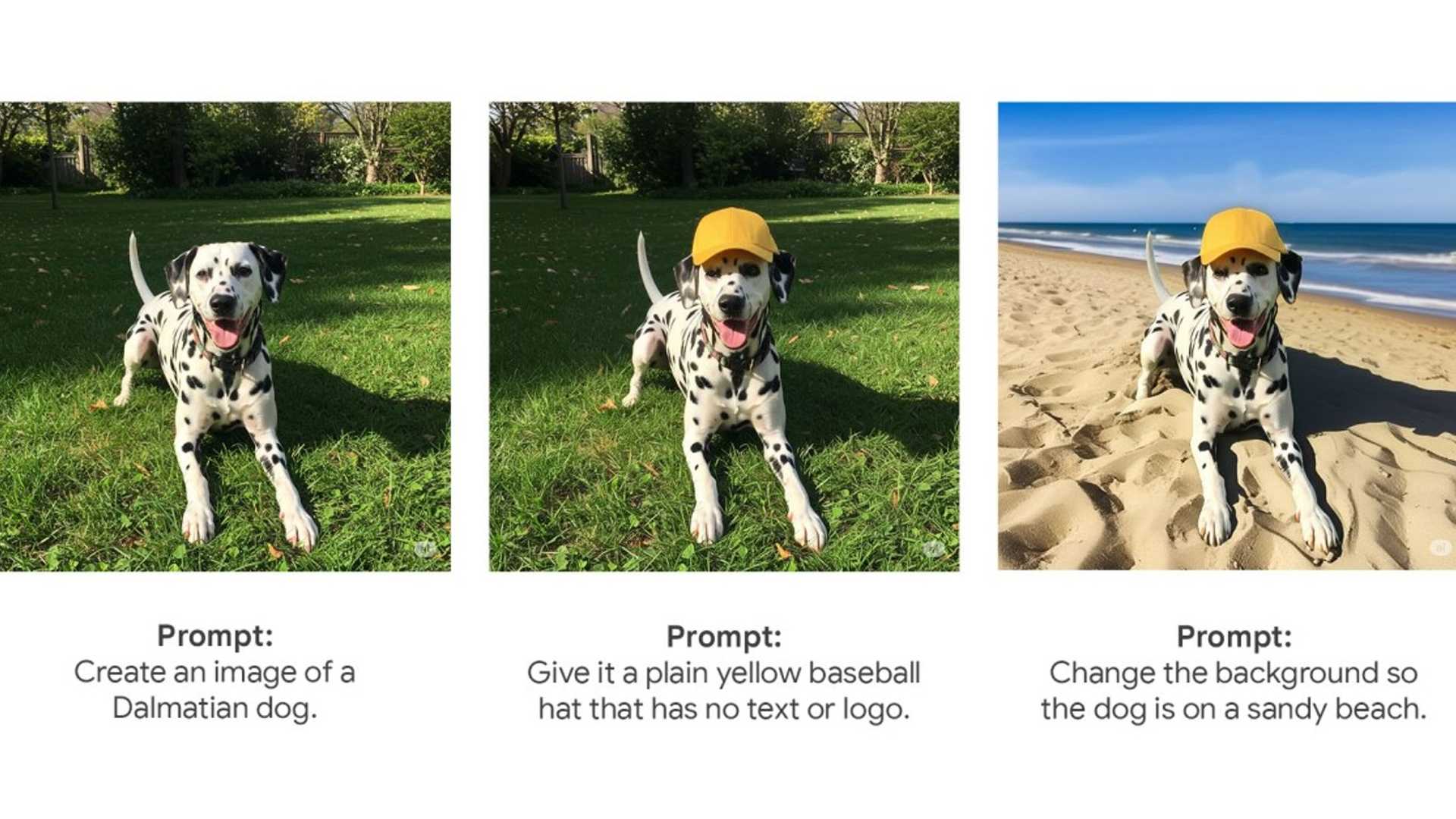 GEMINI APP FOTO visual data 7