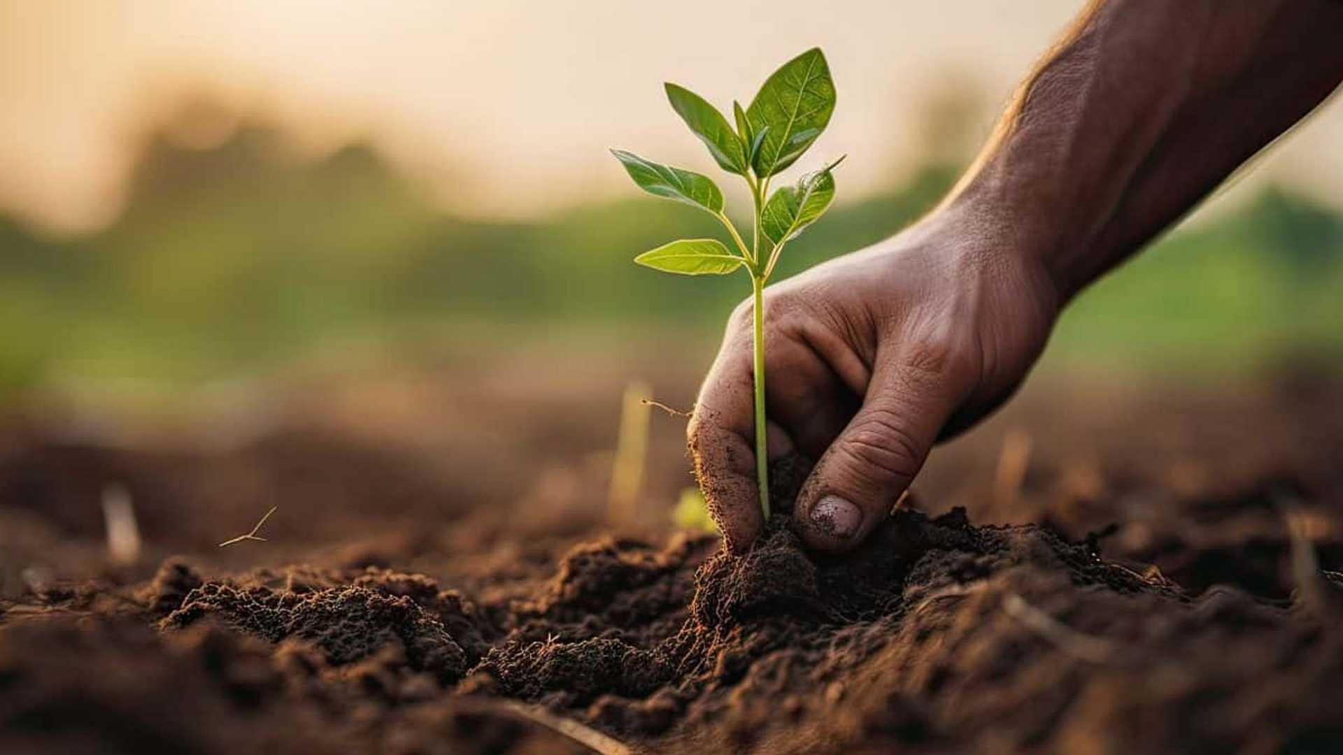 ChatGPT Tool for Farmers Unveiled at COP29 by UAE