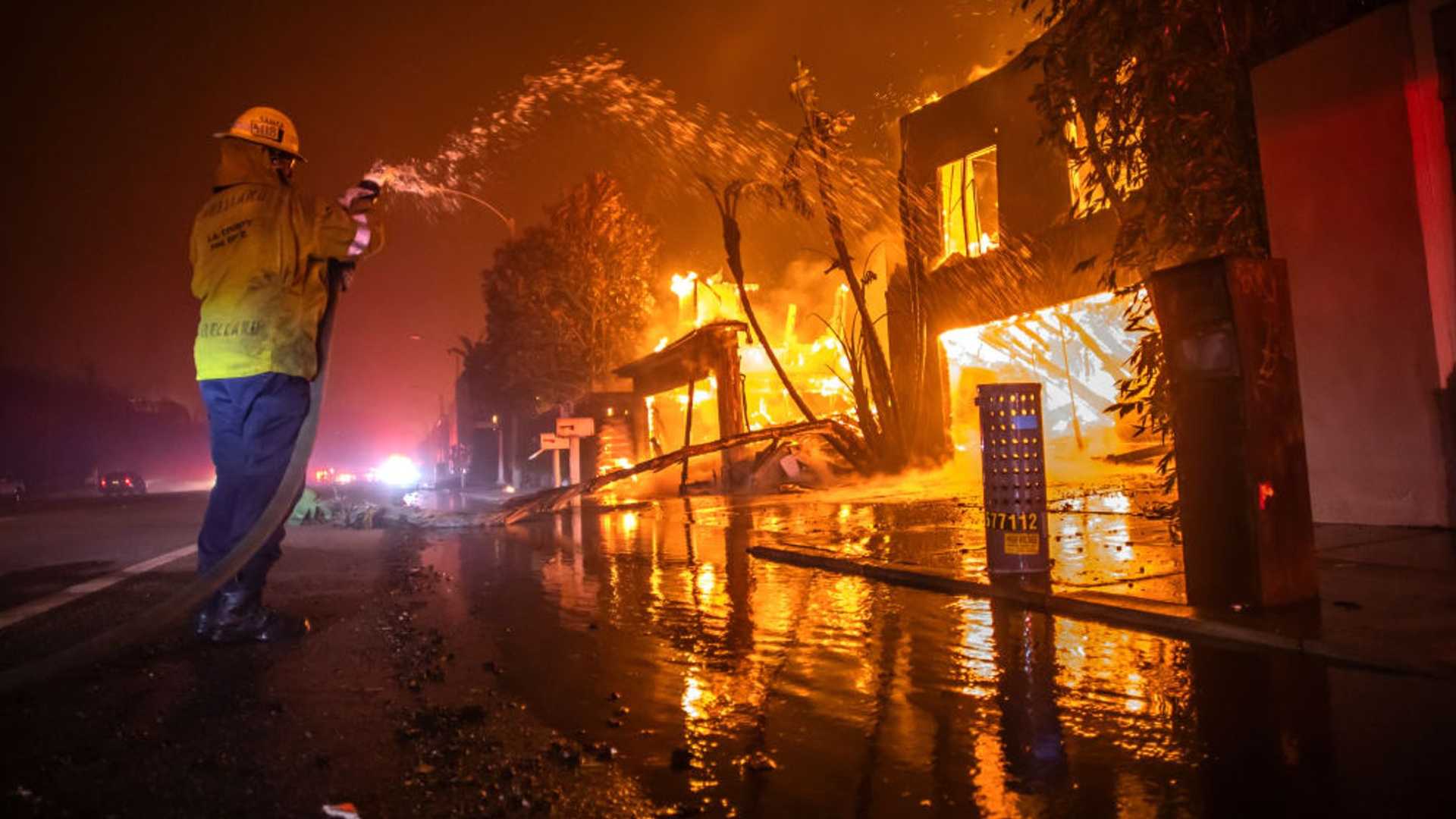 10 Must-Know Facts About Watch Duty App