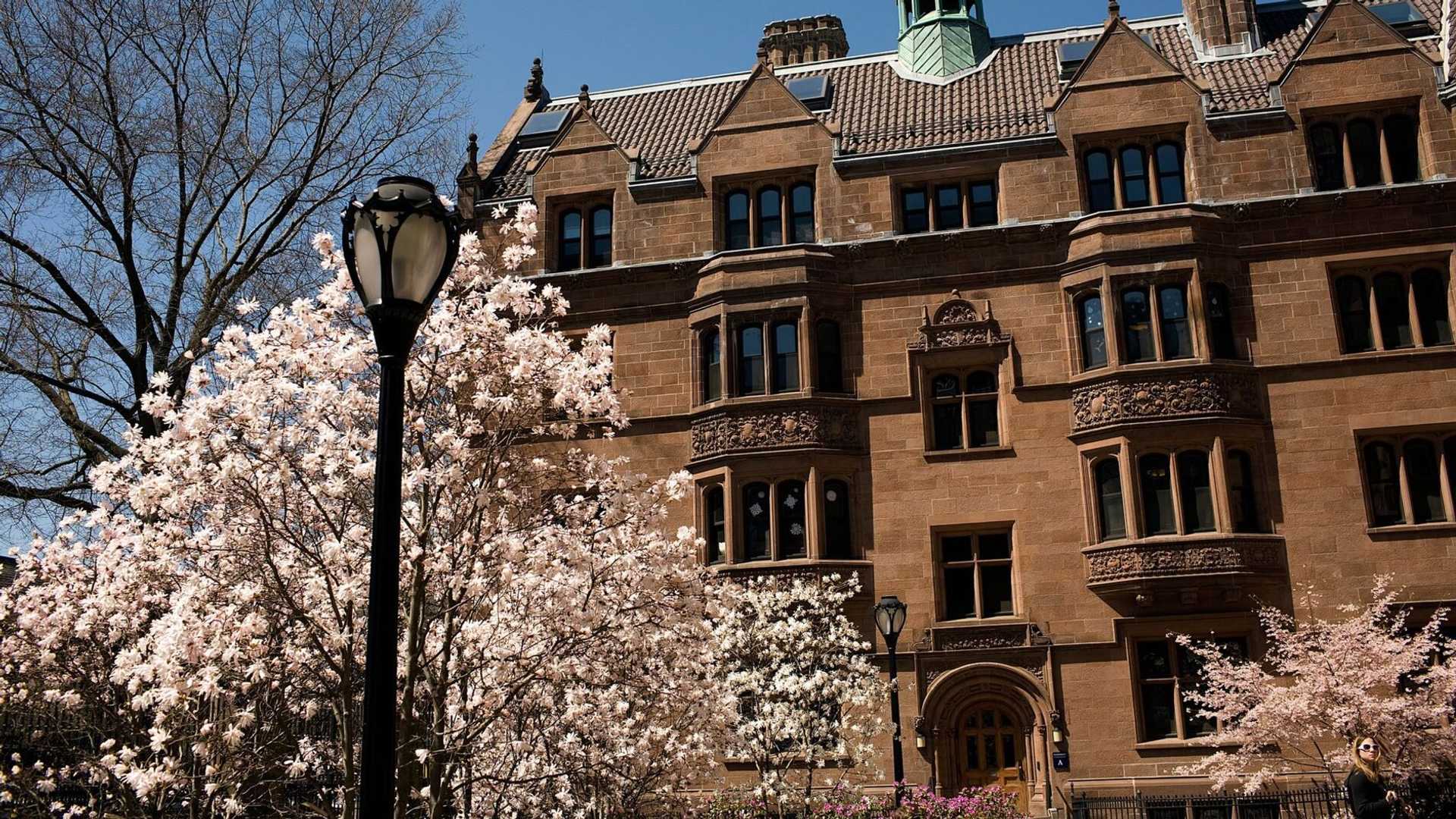 AI-Generated Accusations: Yale's Controversial Suspension